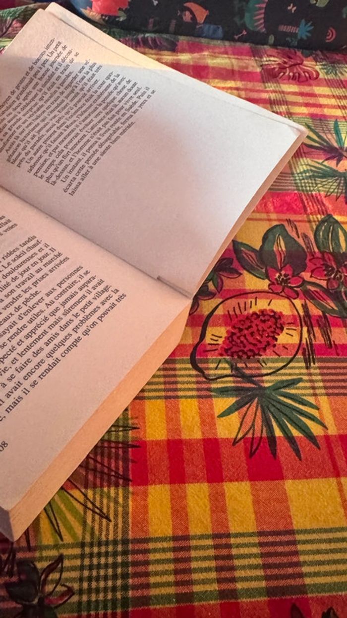 Polar nordique captivant – La Princesse des glaces - format poche – Camilla Läckberg - photo numéro 5