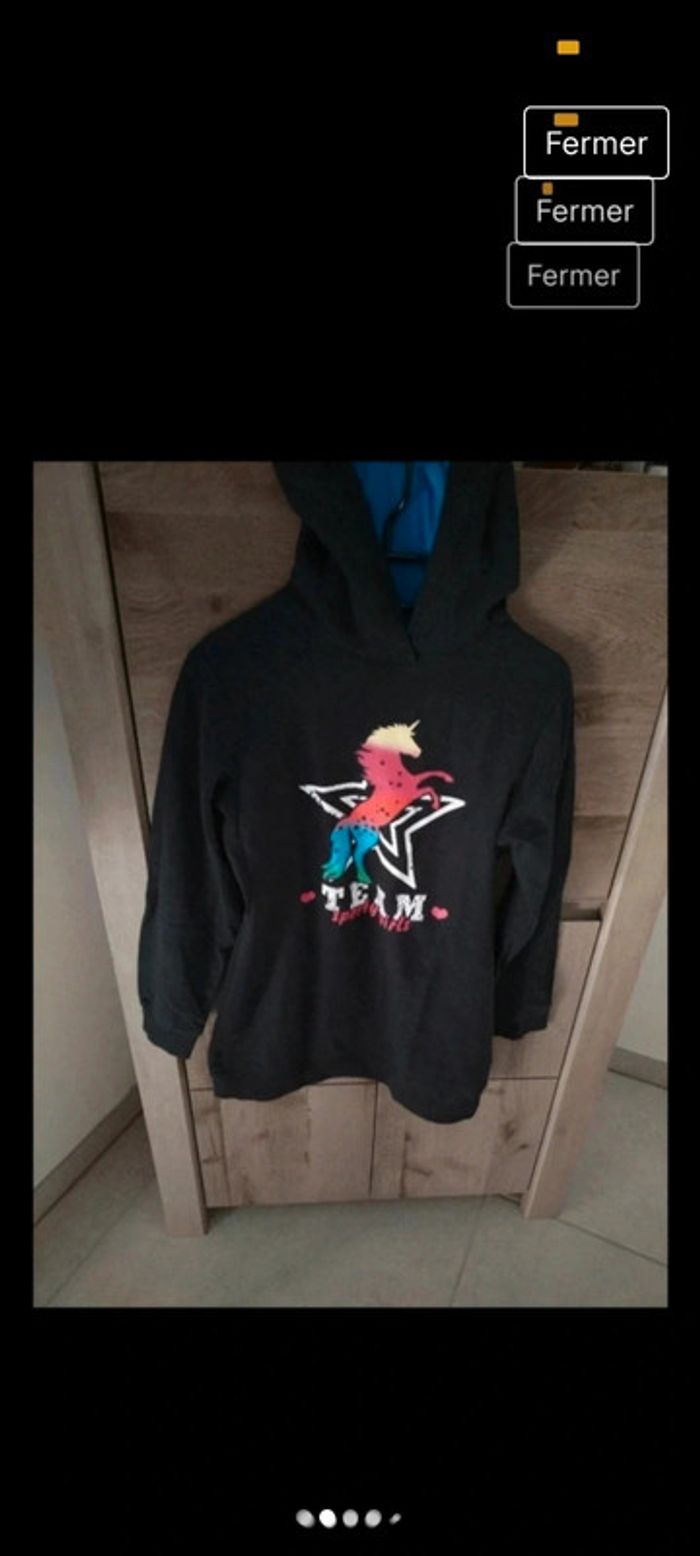 Pull à capuche - photo numéro 3