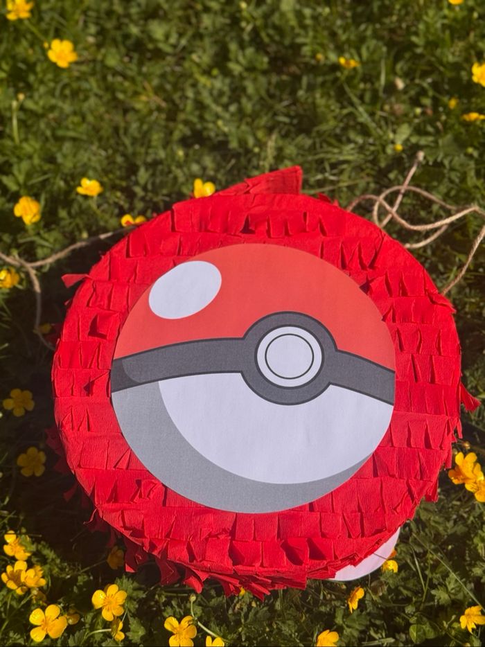 Pinata - photo numéro 2