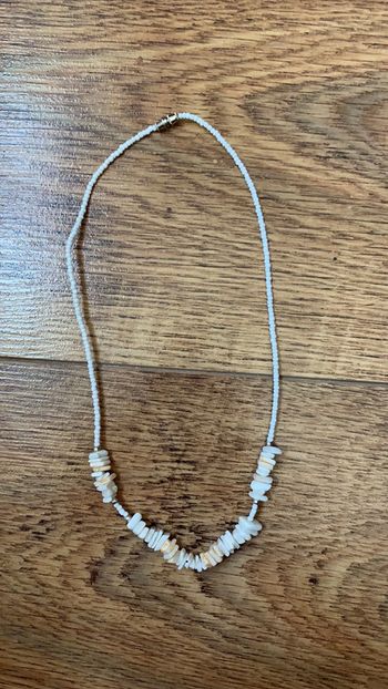 Collier coquillage