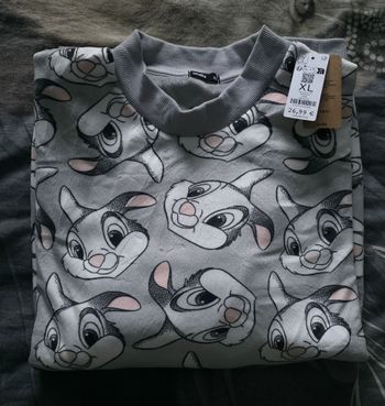 Pull/Sweat Undiz Disney Bambi Panpan XL