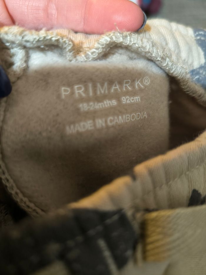 Ensemble etoile - photo numéro 3