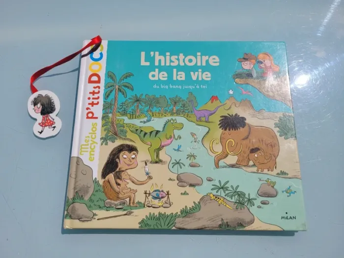 Mes encyclos P'tits Docs, grand format 📜 L'Histoire de la vie, du big bang jusqu'à toi🗿 - photo numéro 2