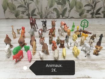 Animaux.