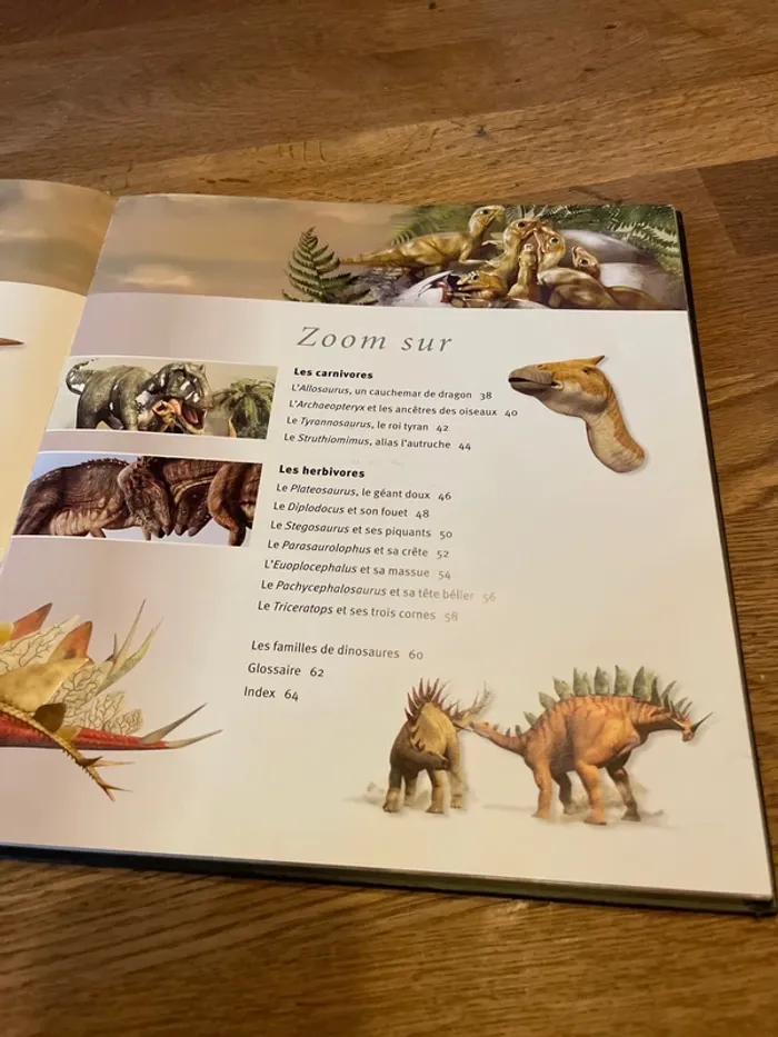 Livre Les dinosaures À la loupe - photo numéro 8