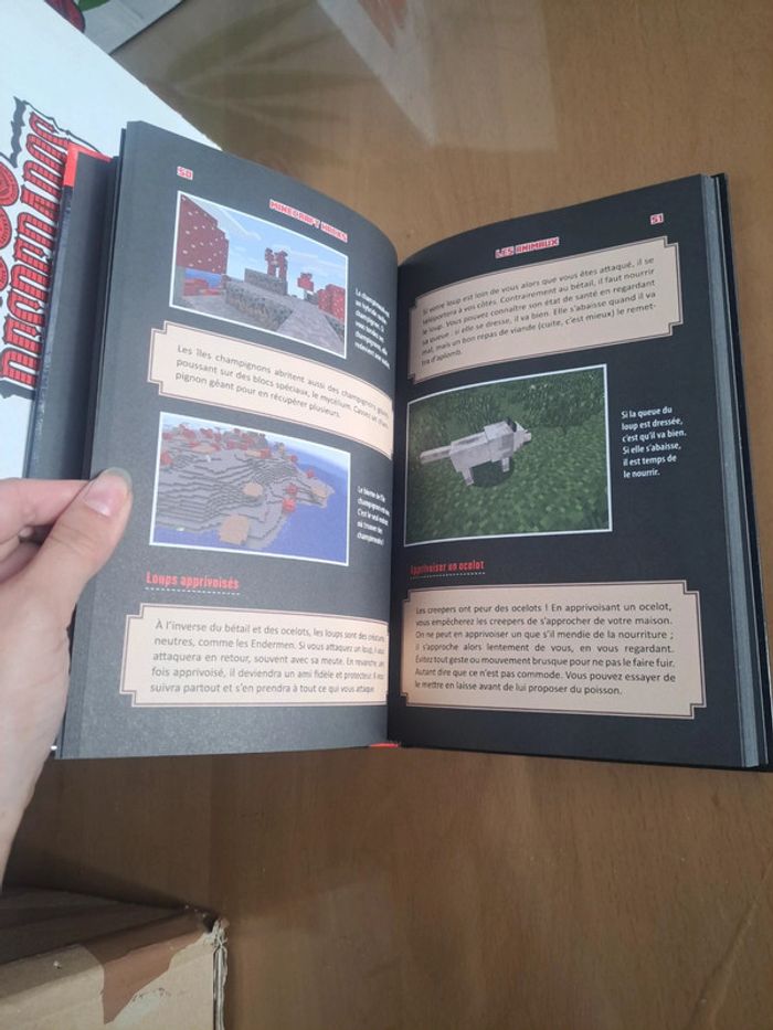 Guide hacks pour jouer à minecraft - photo numéro 3