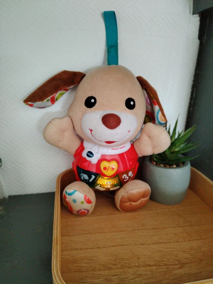 Chien musical - photo numéro 4