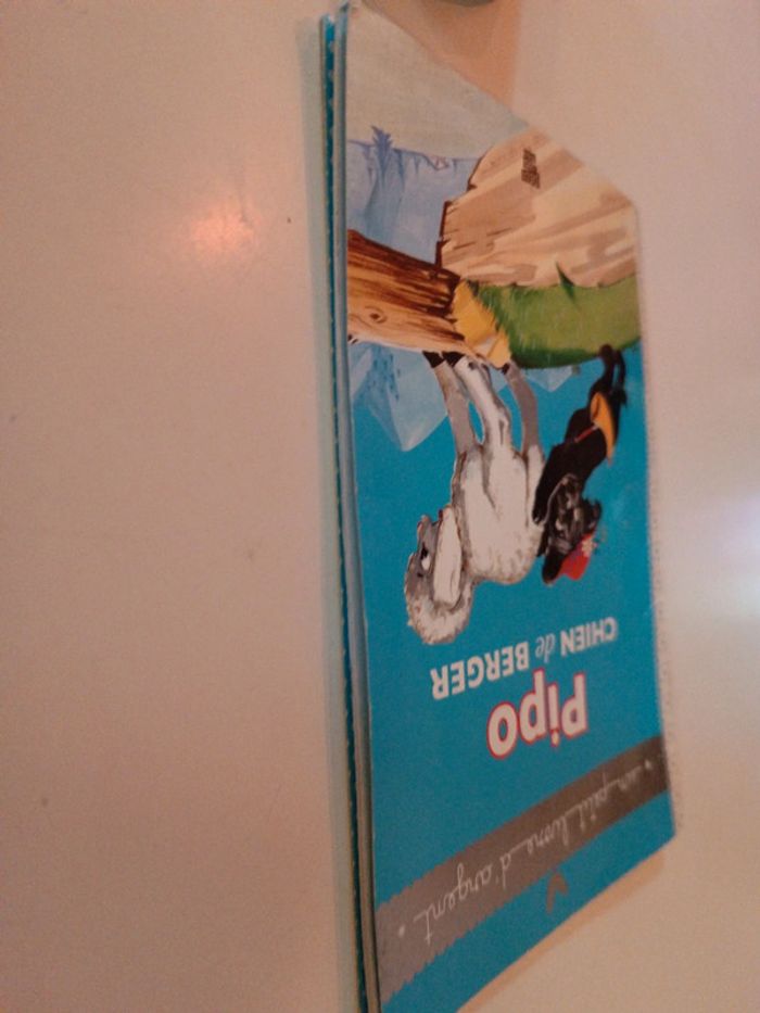 Livre d'argent Book histoire mouton brebis pipo chien dog berger deux coqs hachette pierre probst - photo numéro 5