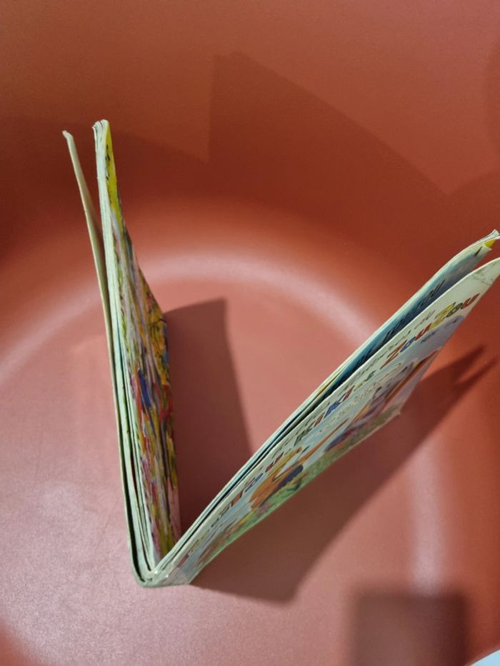 livre - photo numéro 15