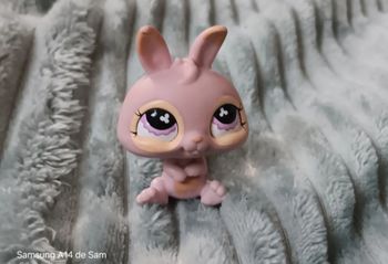 Petshop lapin 667