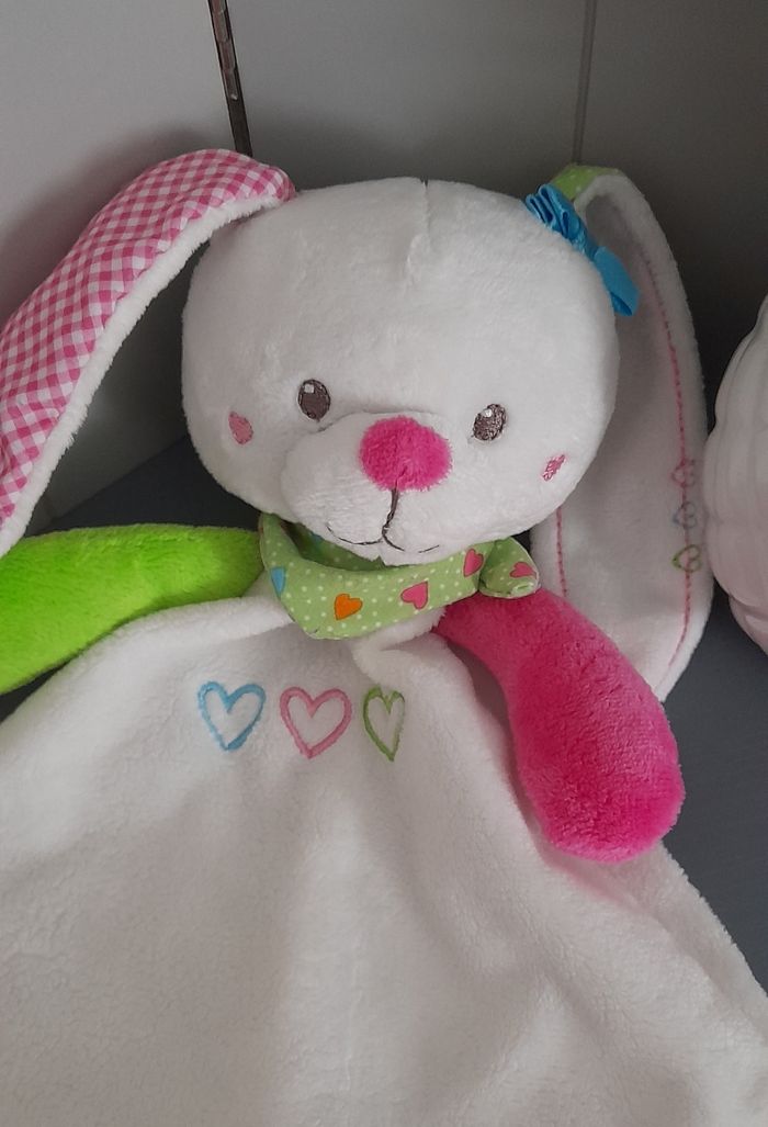 Lapin Lief lifestyle - photo numéro 2