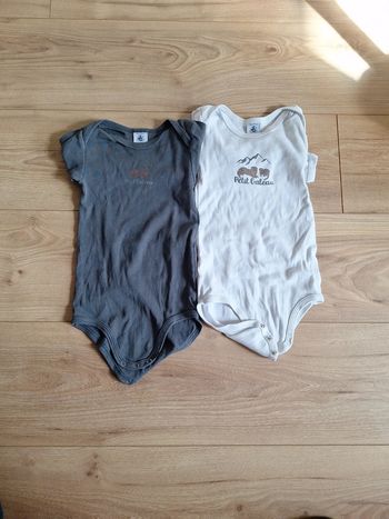 Lot 2 bodies marmotte