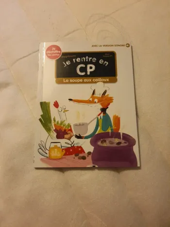 Livre La soupe aux cailloux