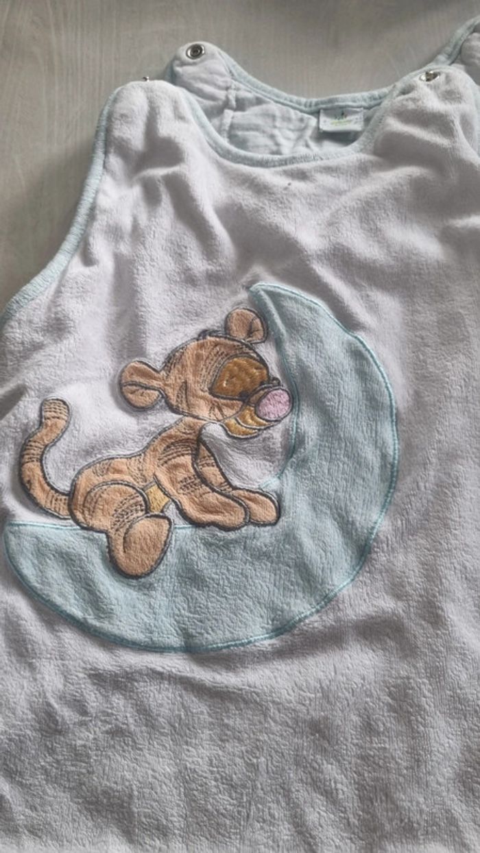 Gigoteuse disney - photo numéro 2