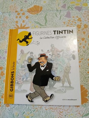 Livre tintin 