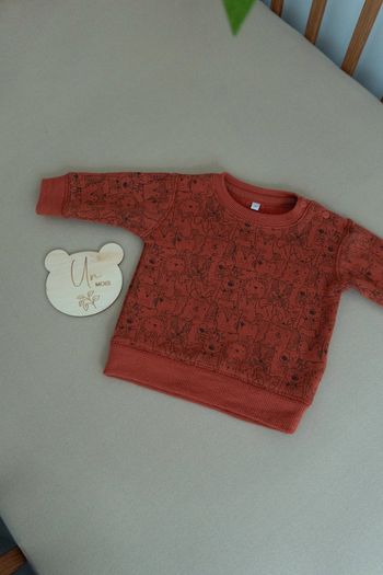 pull sweat polaire épais chaud 1 mois motif animal