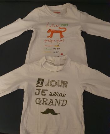 2 t.shirts garcon Ml T.9M