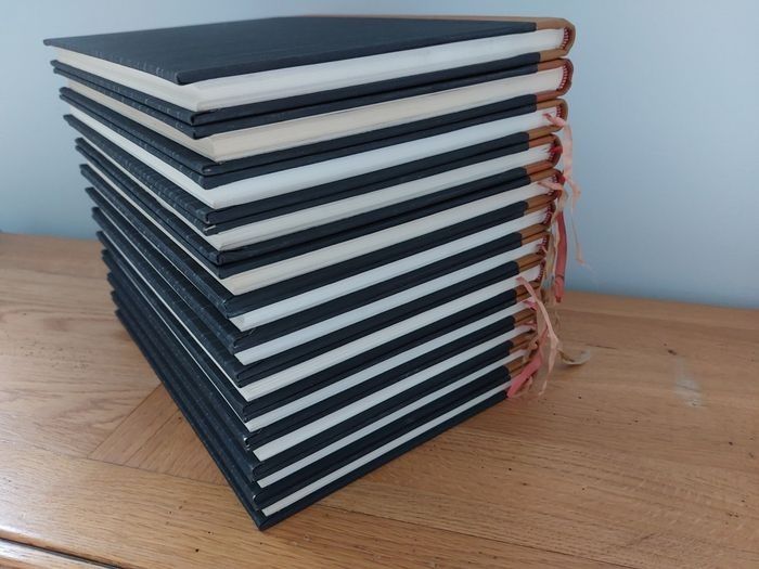 Collection Les Grands Maîtres de la Peinture Moderne - 12 volumes - photo numéro 9