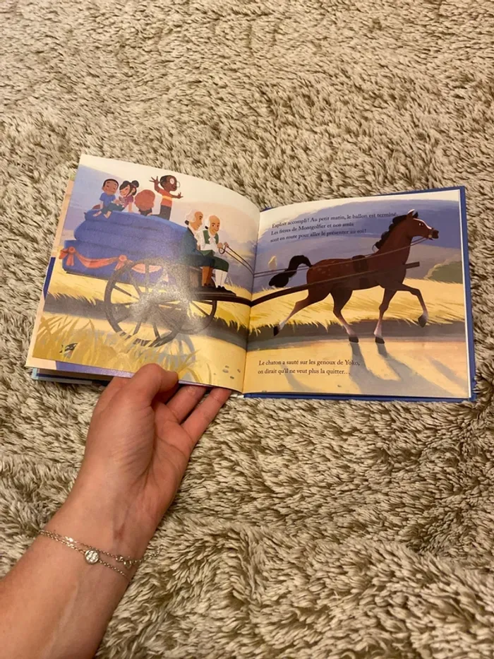 Lot 2 livres - photo numéro 12