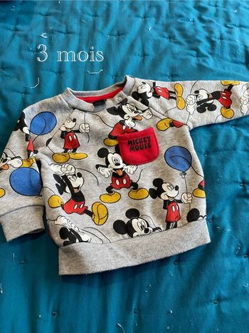 Pull Mickey House