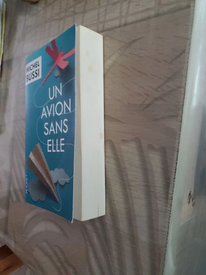 Un avion sans elle Michel Bussi - photo numéro 3