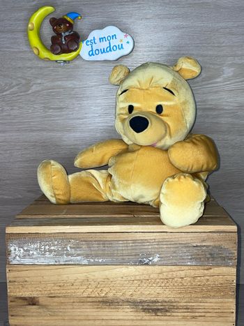 DY420 doudou ours 🐻 winnie