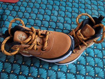 Basket Timberland 