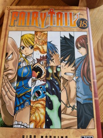 Lot mangas fairy tail