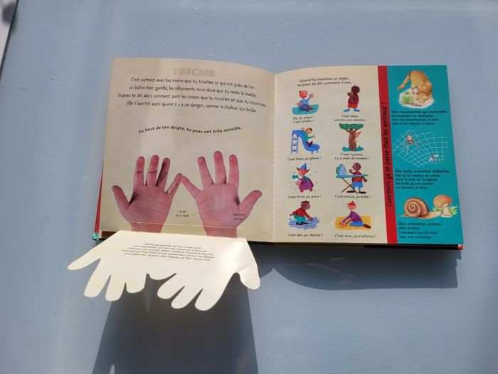 Livre animé Kididoc 👃 Les Cinq sens👂 - photo numéro 5