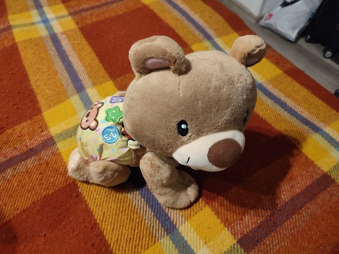 ourson marche a 4 pattes