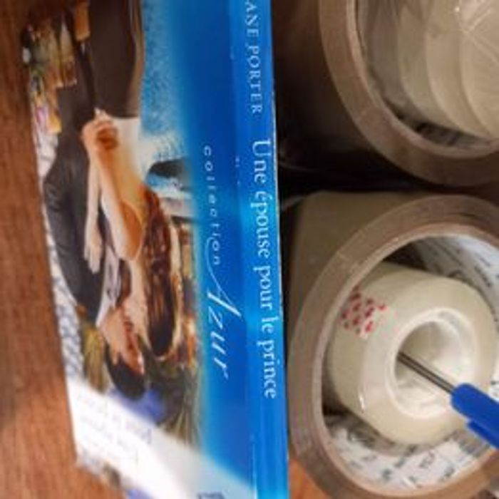 Une épouse pour le prince de Jane Porter - photo numéro 2