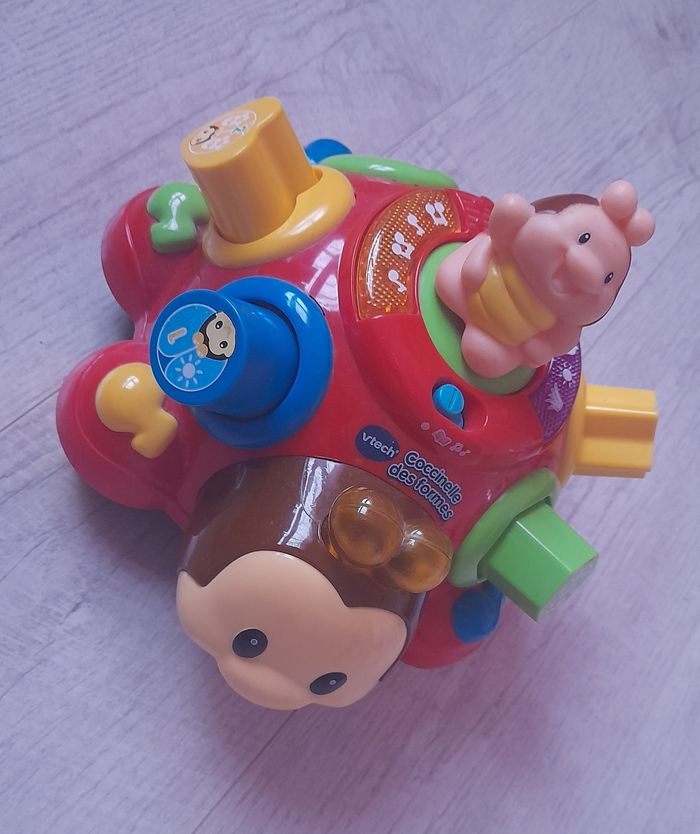 Coccinelle des formes