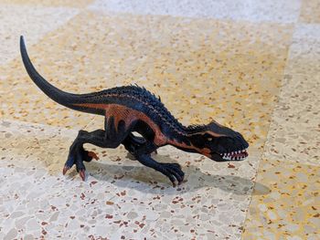 Dinosaure carnivore a 3 pattes