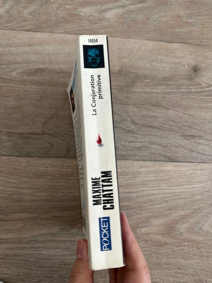 Maxime Chattam la conjuration primitive - photo numéro 3