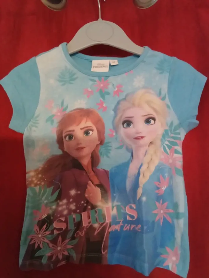 Tee shirt reine des neige fille 2 ans (18)