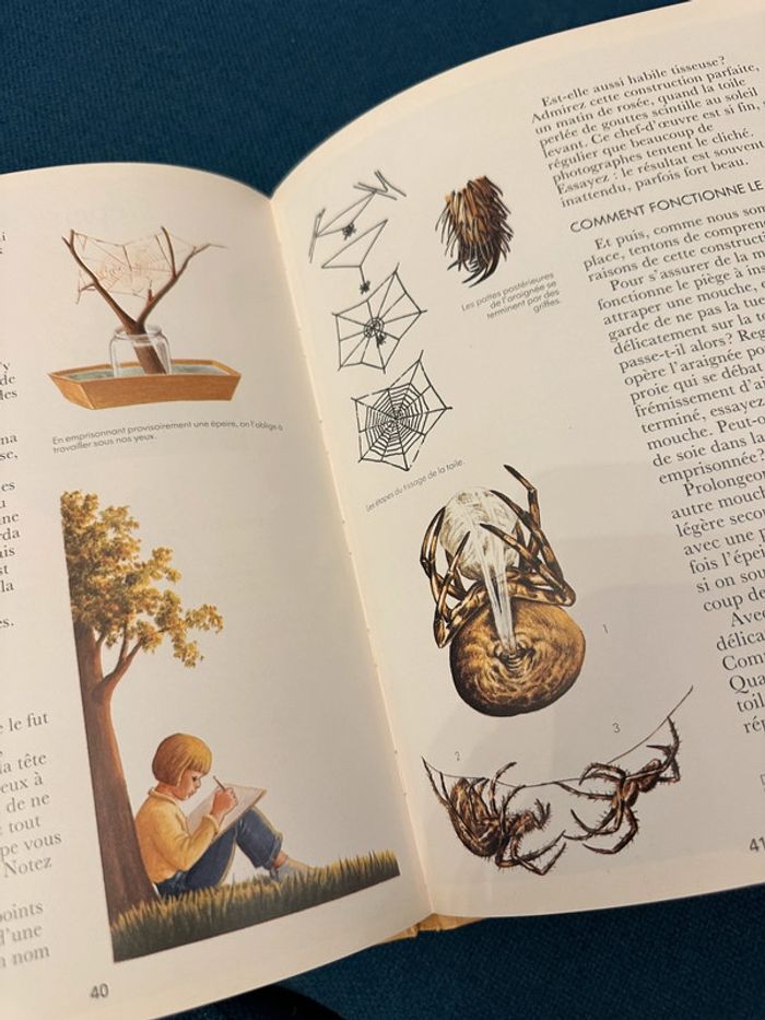 Beau livre vintage Animaux des maisons et des jardins Cemea Hachette Jeunesse documents nature - photo numéro 7