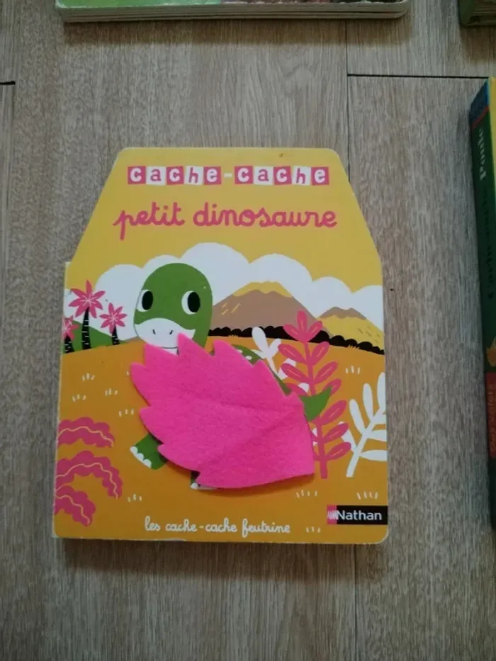 Lot livres à toucher - photo numéro 10