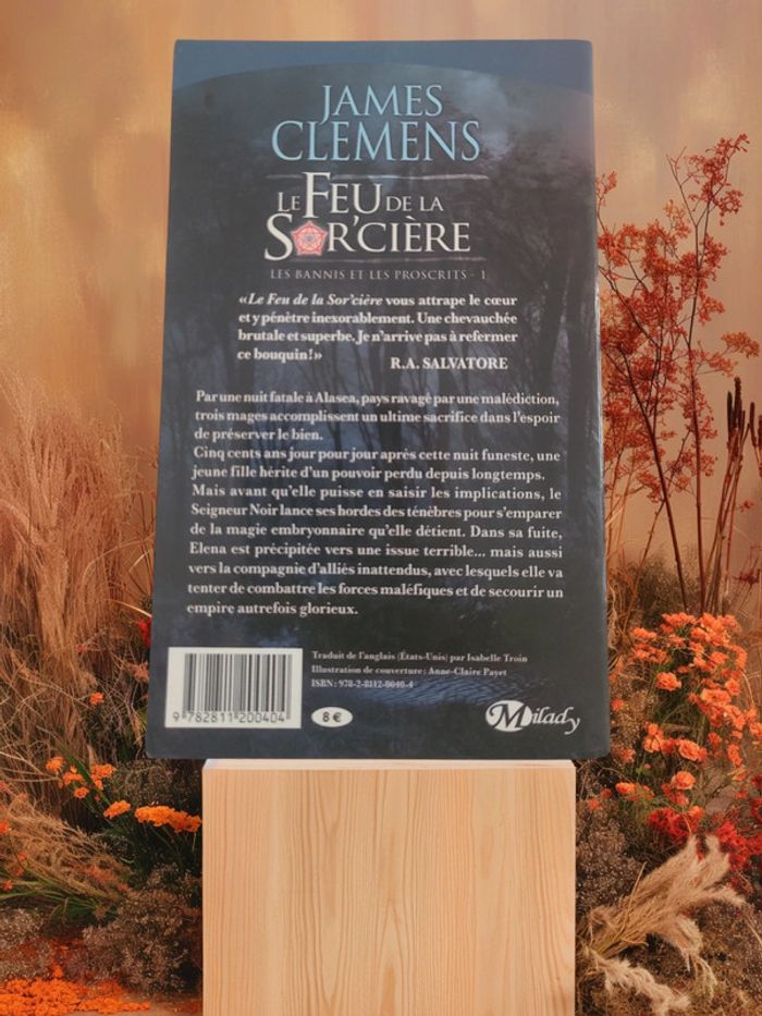 Livre "Le feu de la sorcière" 🔥 - photo numéro 2