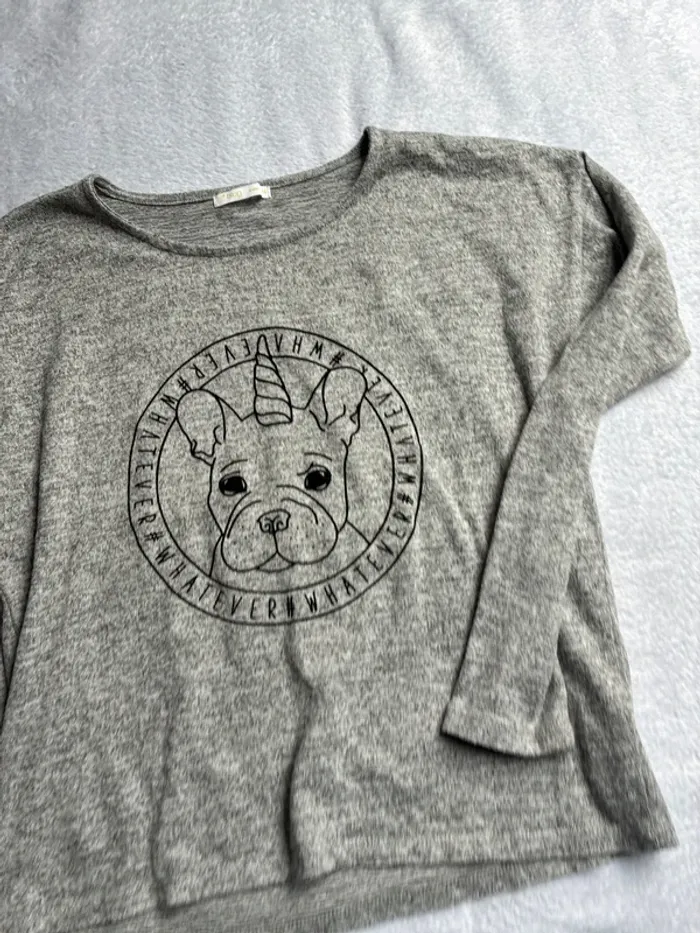 Pull gemo 16 ans - photo numéro 4