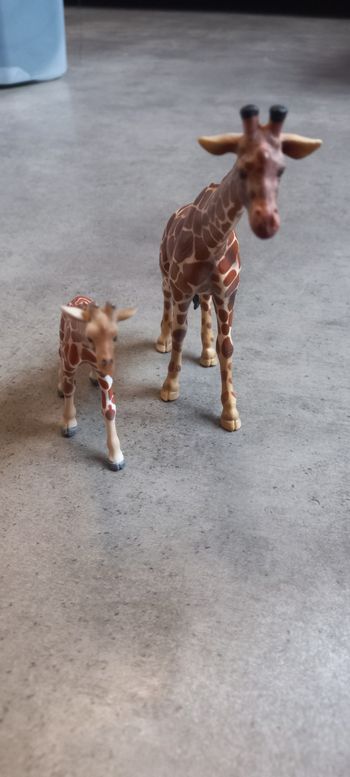 Girafe et son petit schleich