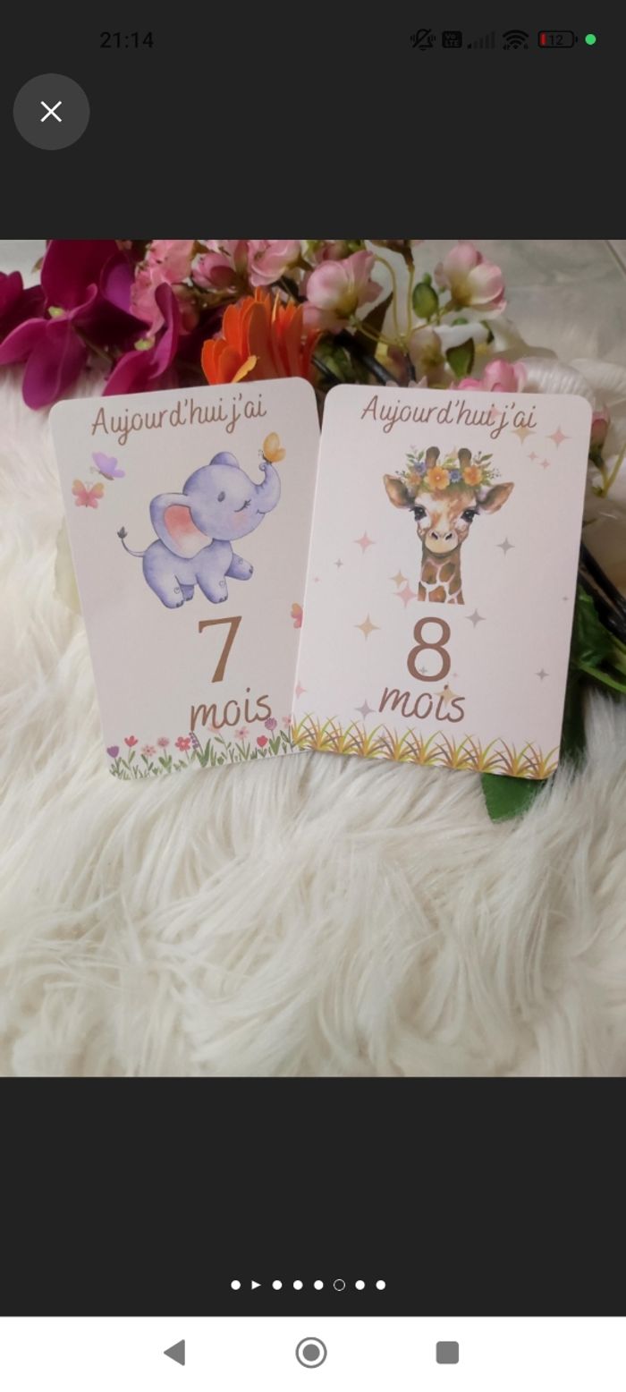 Carte étape bébé - photo numéro 5