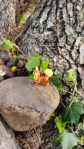 Super figurine Pokemon Nintendo Caninos