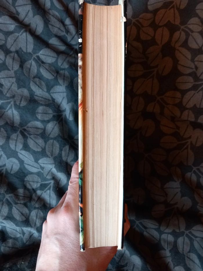 La pêche Jérome Nadaud - photo numéro 4