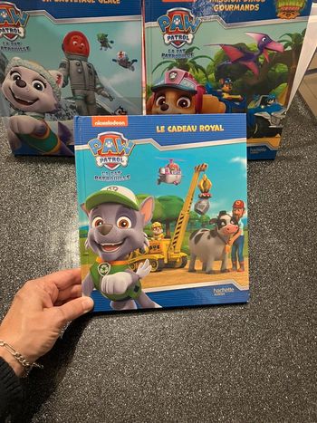 Livre pat patrouille Le cadeau royal