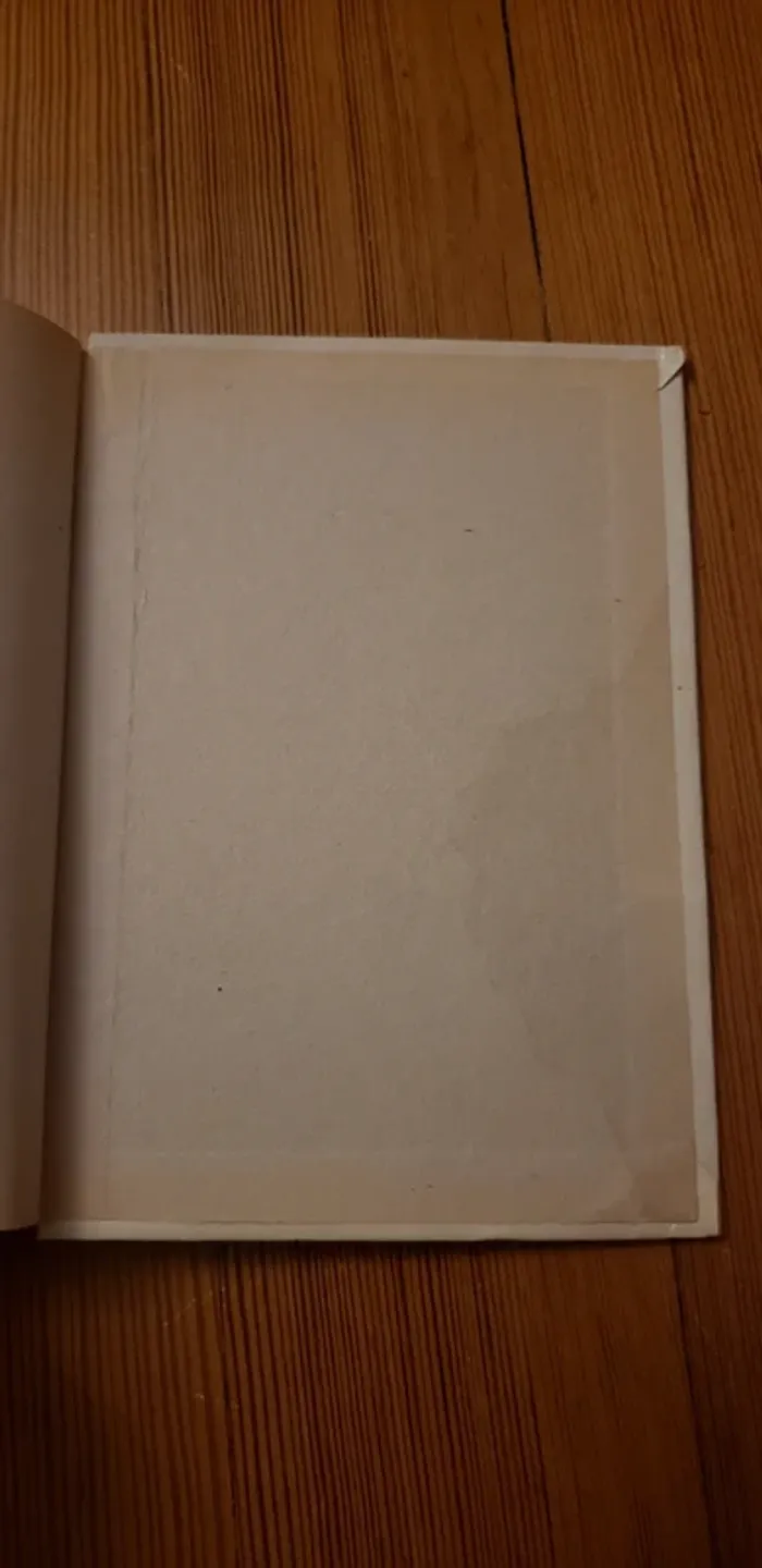 Lot de 2 livres bibliothèque rose Donald Walt Disney - photo numéro 8