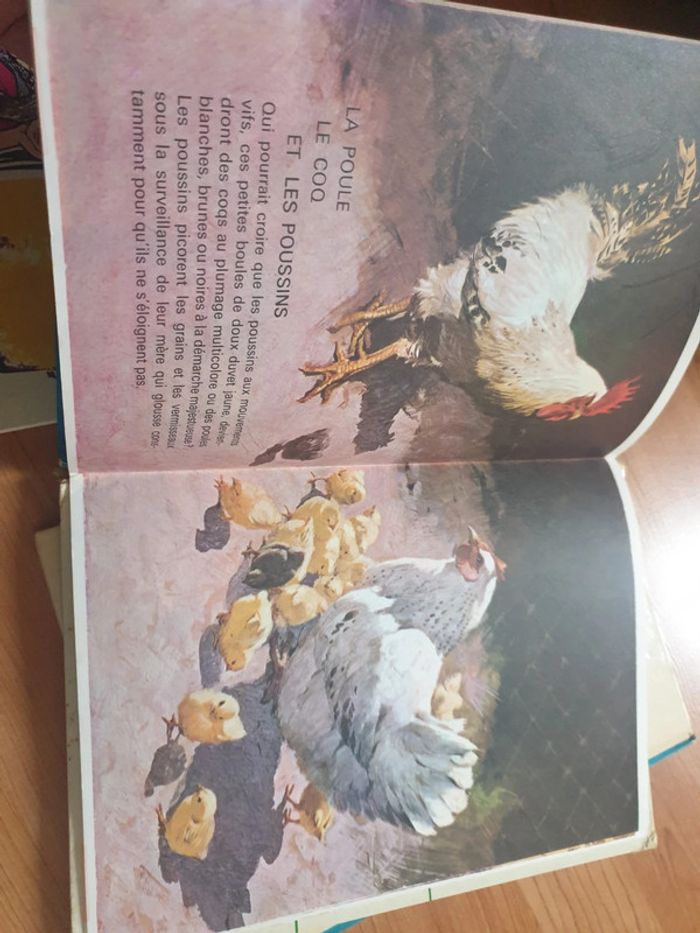 Lot de livres - photo numéro 3