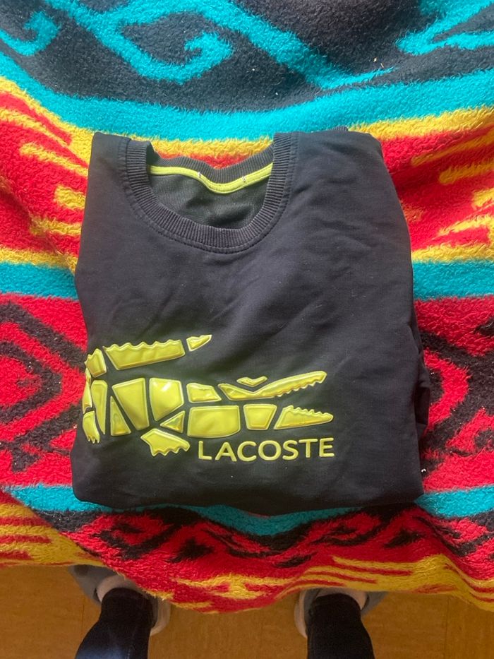 pulle lacoste