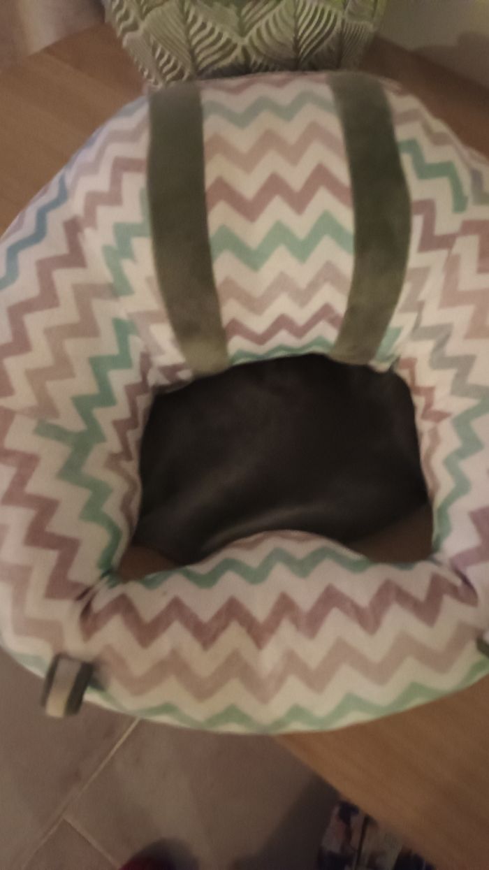 Coussin apprentissage bb - photo numéro 2