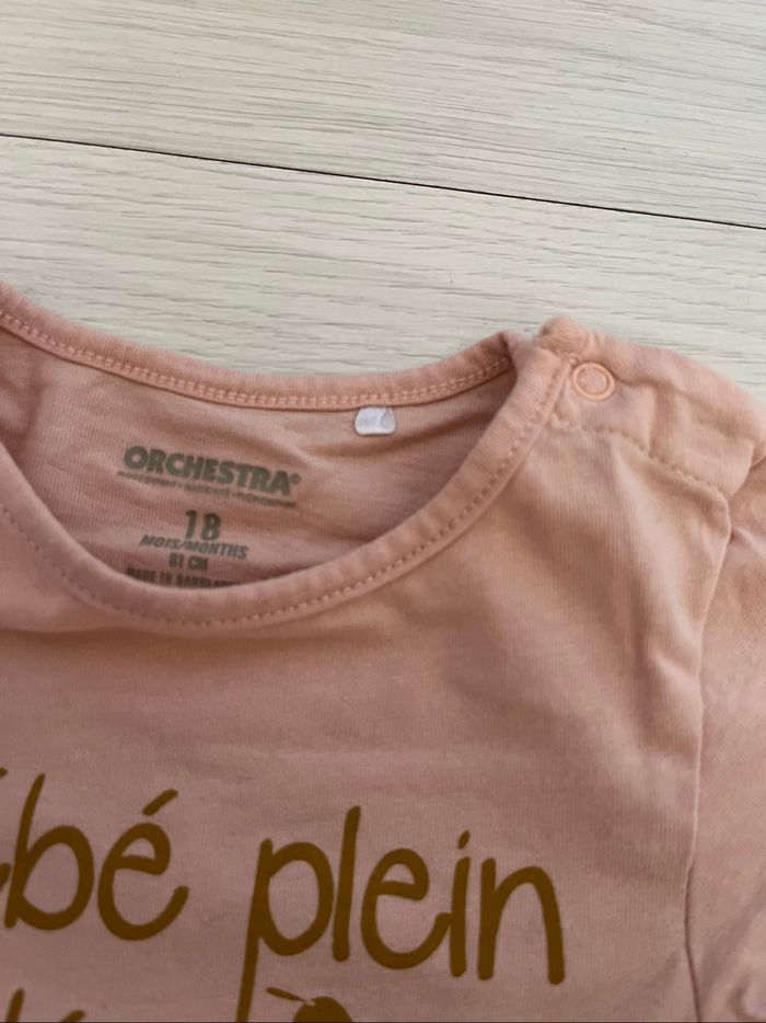 Lot 2 teeshirt manche longue 18mois - photo numéro 4