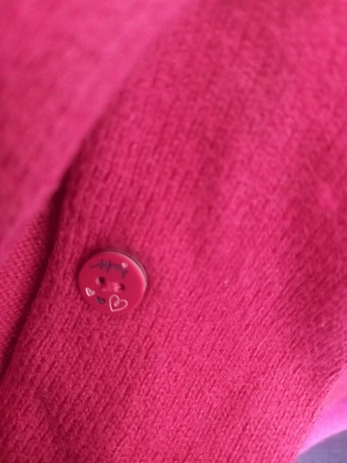 Gilet pour l'hiver - photo numéro 6